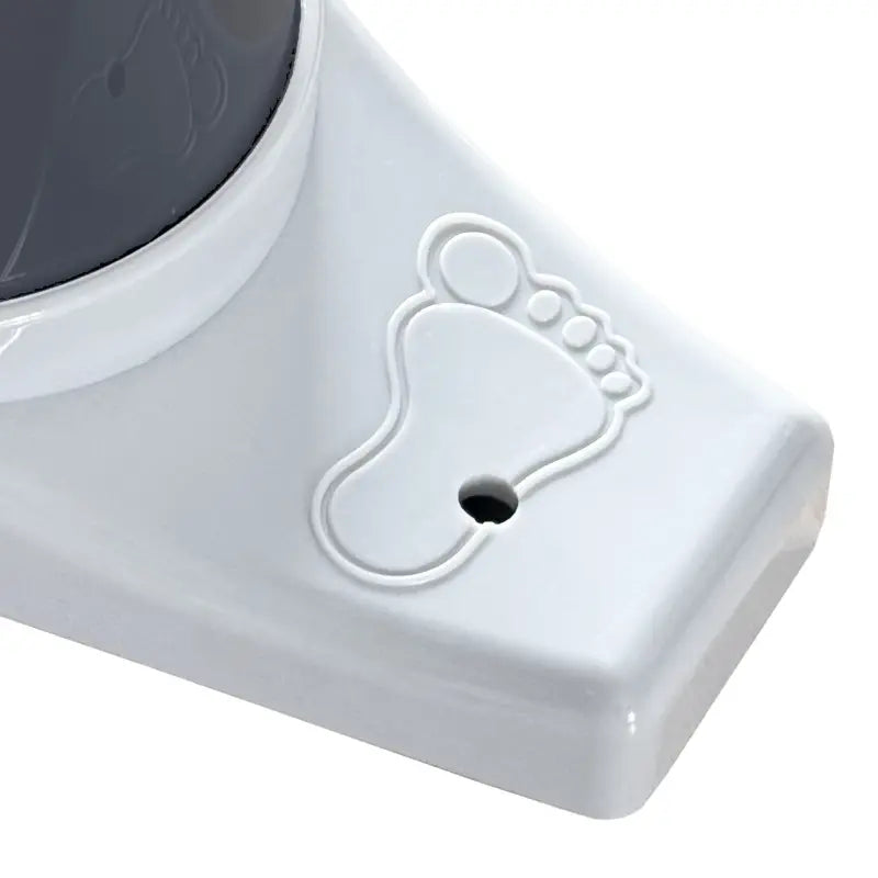 2 Litre Pump With Guage