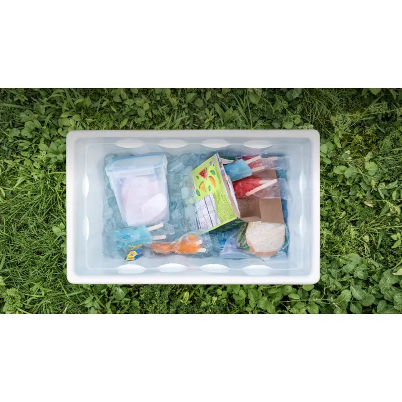 EcoFlow GLACIER Classic Portable Fridge Freezer 55L