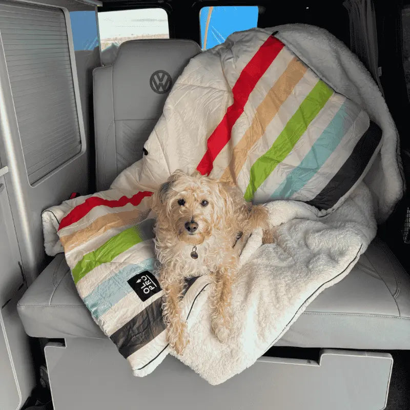 Blanko Insulated Outdoor Camping Blanket