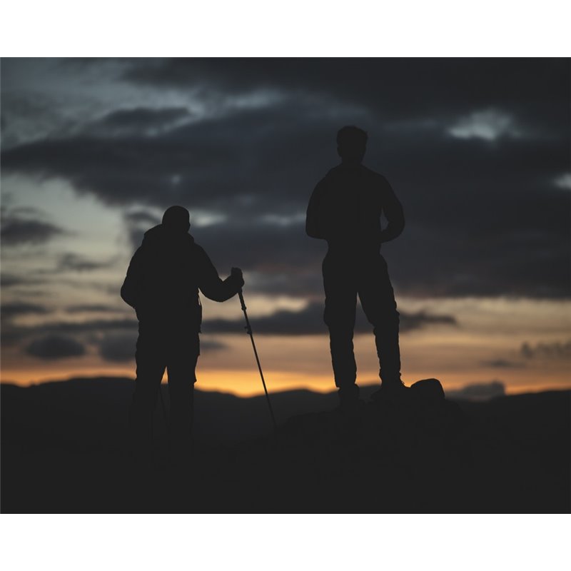 Vango Annapurna (Carbon Walking Pole) - Single