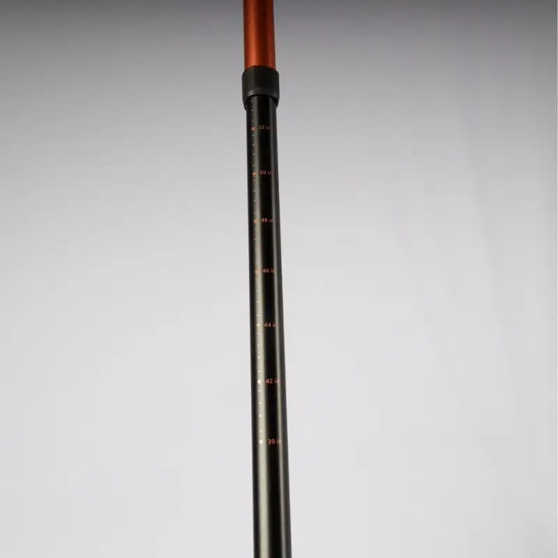 Vango Kesugi Walking Pole