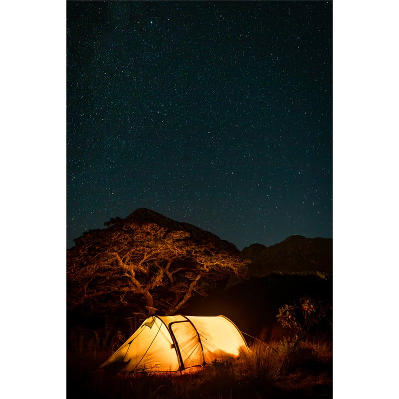 Vango Scafell 300 Plus Tent